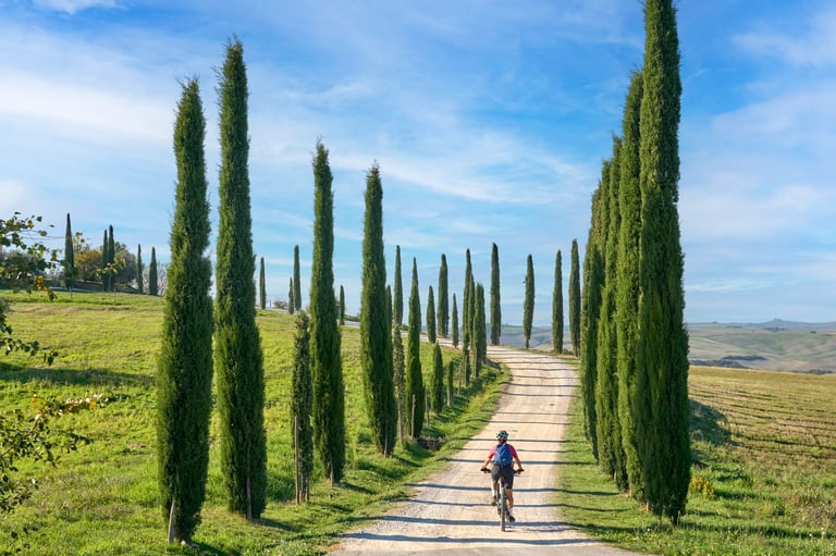 Mulher pedalando em bicicleta elétrica em uma alameda de ciprestes na região de Chianti perto de Pienza, Toscana, Itália