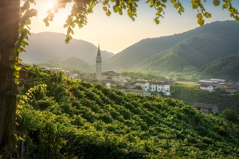 Panoramic view of the rolling hills of the Monferrato, Langhe and Roero region, Piedmont, Italy