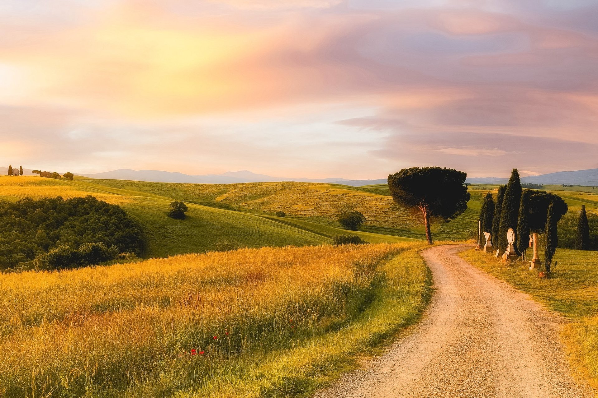Winding dirt road through rolling Tuscan hills with cypress trees and golden wheat fields at sunset